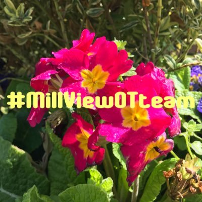 We are the @withoutstigma Occupational Therapy team providing #wellbeing and #recoverythroughactivity across five fantastic wards at Mill View Hospital