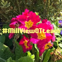 MillViewOTteam(@MillView_OTteam) 's Twitter Profile Photo