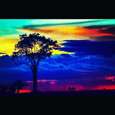 rubendagresottm's profile picture. Fe,Familia,Ciencia.