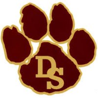 DSHSCheer (@dripcheer) 's Twitter Profile