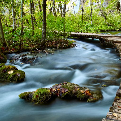 StartLowGoSlow2's profile picture. 