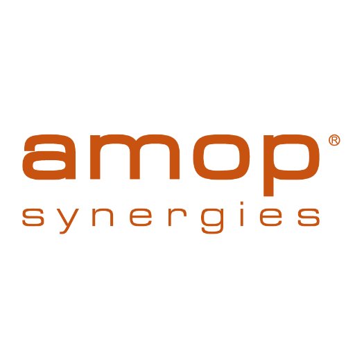 Grupo Amop Synergies