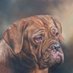 Joanne Smith Art (@joannesmithart) Twitter profile photo Joanne Smith Art (@joannesmithart) Twitter profile photo