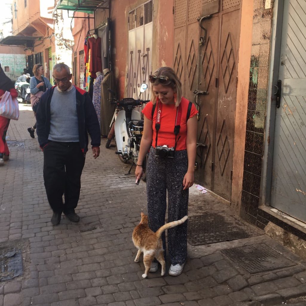 mayahnnybll's profile picture. the horse from horsin’ around