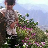 مهند احمد (@ndfvu0419trxmuu) Twitter profile photo