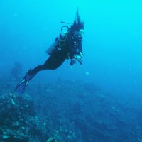 Liz Scanlon (@lizscanlon) 's Twitter Profile