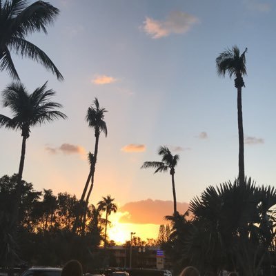 julesicaa's profile picture. 