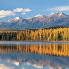 taylor6804's profile picture. HTM Recruiting Services 
310-461-8636