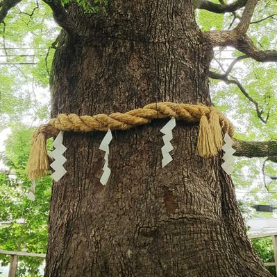 はじめまして
神社参拝がライフワークです。
各地の珍しいご朱印などを紹介して行きます。