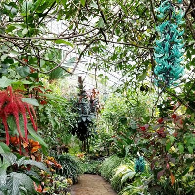 IvanaCooks's profile picture. Travelling and eating my way through life.