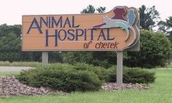 The only AAHA accredited Animal Hospital within 50 miles of Rice Lake, WI. All the amenities of a major metro hospital, but with small town care. We Love Pets!!