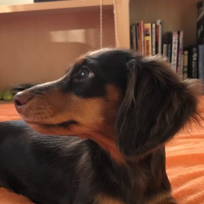 Tikinobs's profile picture. 2025年11月現在、 79 H-Dとカワサキ スーパーシェルパを所有。来春は林道デビューです。家では1959年型のジュークボックスでDOOWOPを聴き、冬はほぼ毎週スキーで遊んでます。今流行りのBCも少々。2025夏、SUPを始めました。