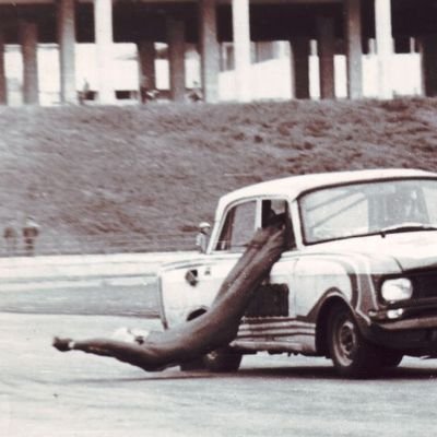 gyrmanno's profile picture. †