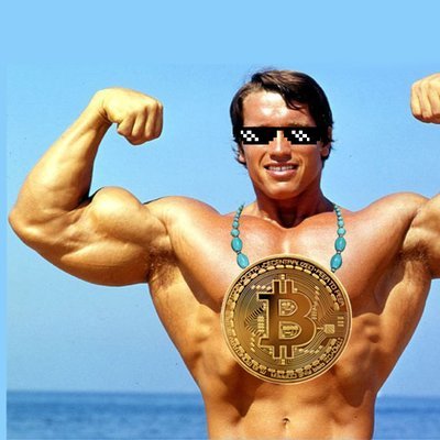 #Shitcoin Master // #Cryptocurrency #Enthousiast // Part-time #Governator