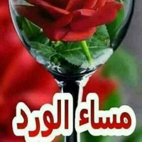فحل رومانسي ابحث عن زوجين متحررين (@xwoglgtqbzuzmzd) 's Twitter Profile