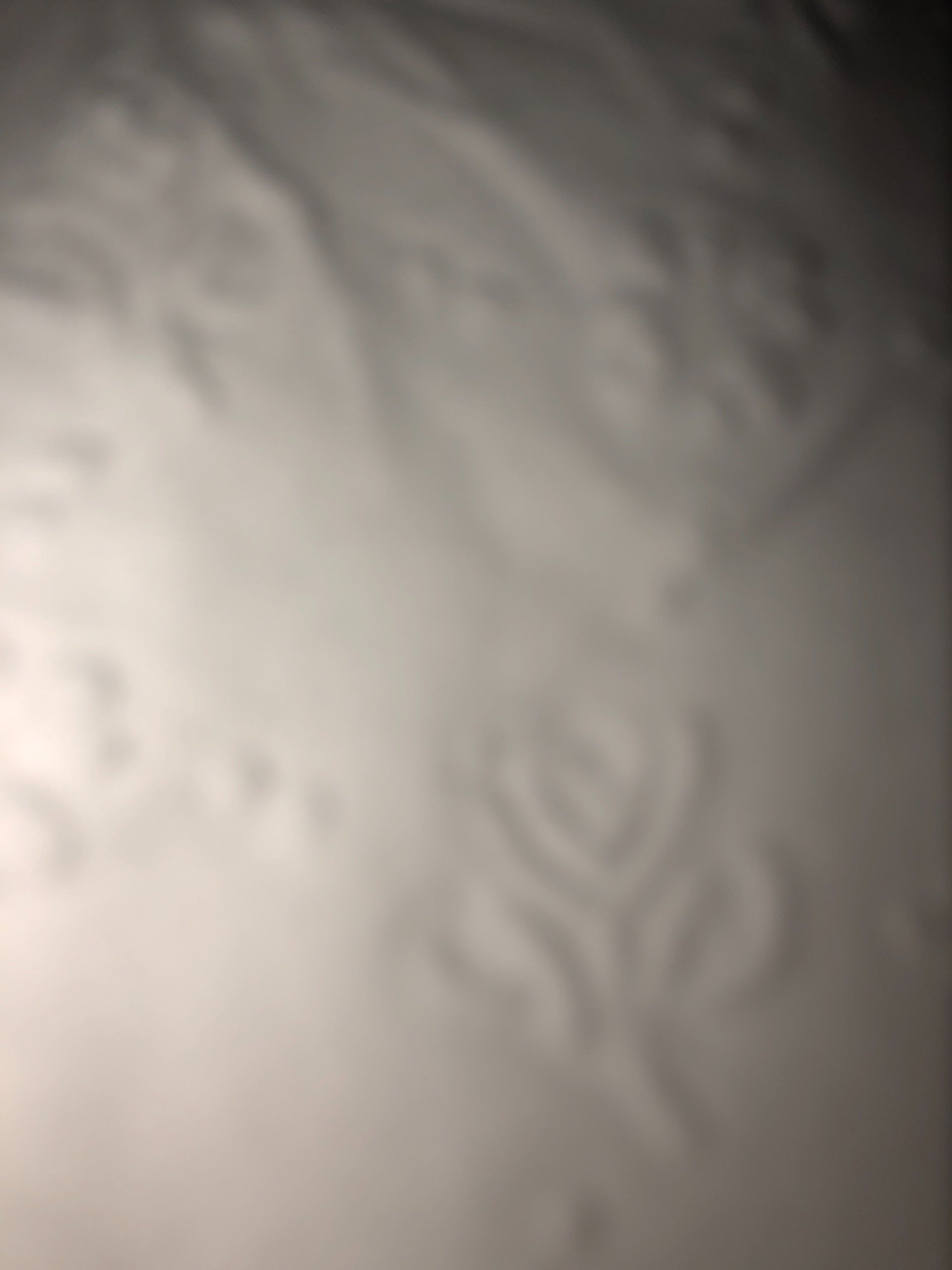 cloudfree_sky's profile picture. Release the mind free the soul