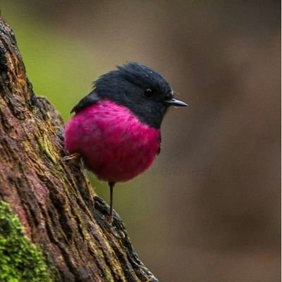 6en9's profile picture. 