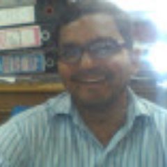 Professional Accountant
