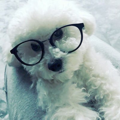 MandyPigPig's profile picture. Never ever bring me down