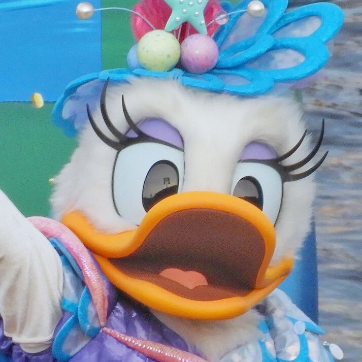 vivi_Disney's profile picture. 01Line (16) ୨୧ 海派 / ミキミニ / BBB観たい / レフ持ち近辺組で年パス通いすることが夢。