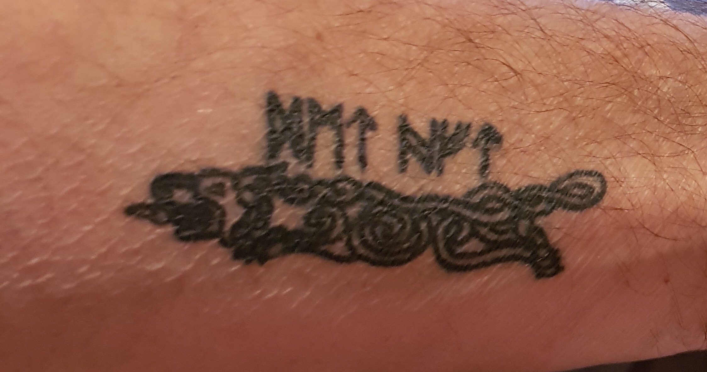 dunelm881's profile picture. No visible means of support