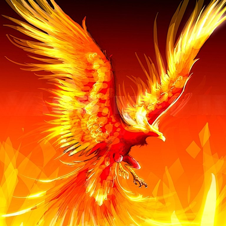 firefalkn's profile picture. Fellow trader looking to learn and fly out from the midst of losses
