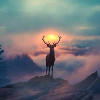 Ioan99245730's profile picture. 