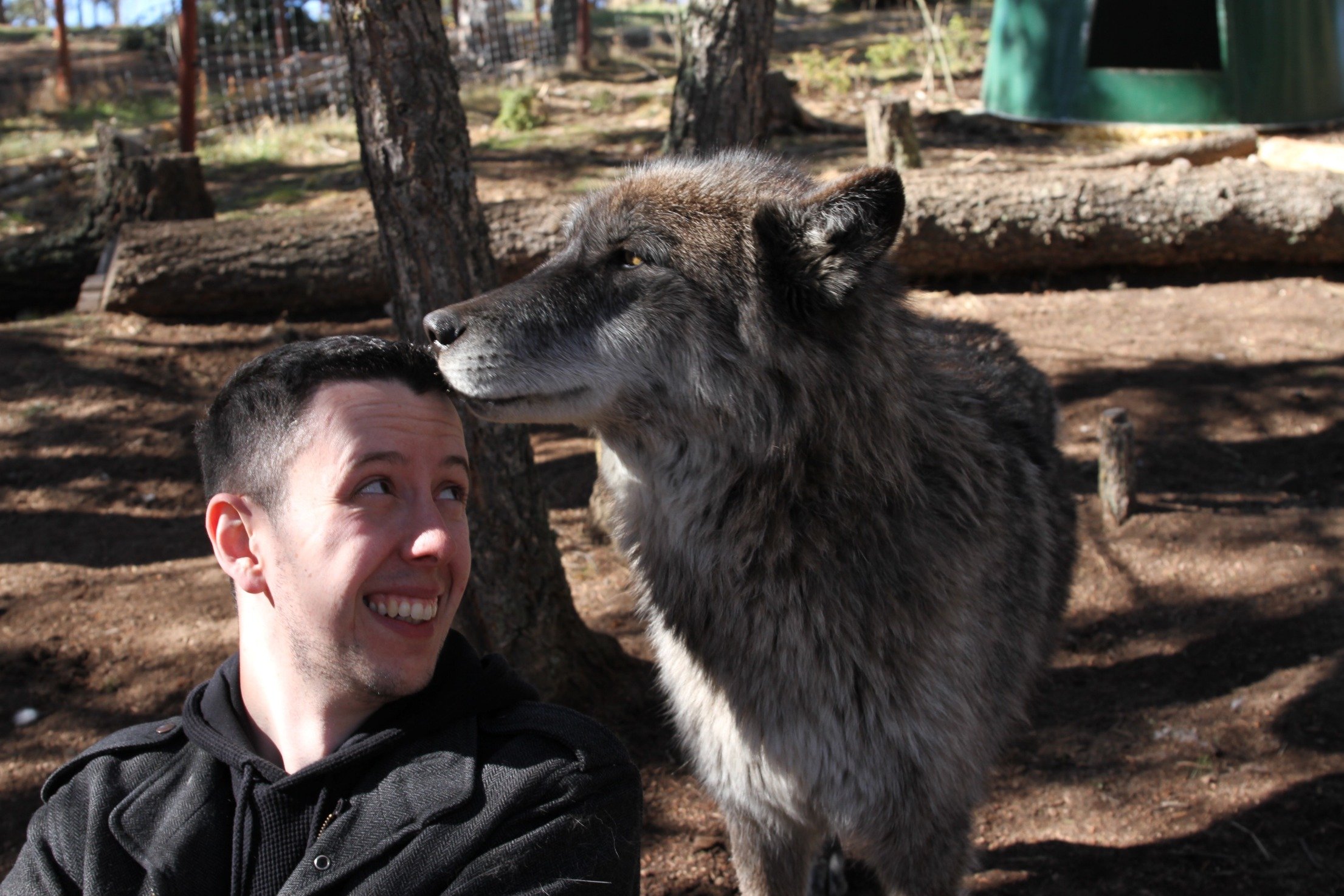 d20clelland's profile picture. 