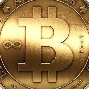 SegunCript's profile picture. 