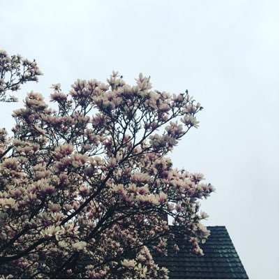 Jules65620367's profile picture. 