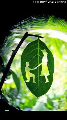 Vijayak45808872's profile picture. 