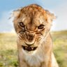 Tonyotr313's profile picture.