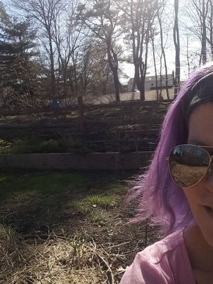 EByrnes19's profile picture. Elizabeth Byrnes