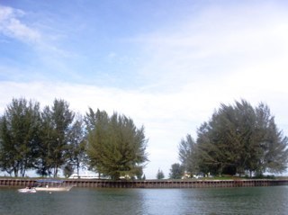 ikabiffi's profile picture. 