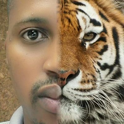 MmMolale's profile picture. #SimplySouthAfrican ; Mechanic; Soccer& Pool Enthusiast; Orlando Pirates Supporter - Once&Always 🏴‍☠️🏴‍☠️🏴‍☠️🏴‍☠️. I am someone, not your friend.