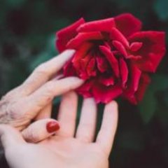 bestmothersday's profile picture. Best Mother's Day Gifts