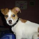 Barbara Ojeda - @Barbaritt23 - Twitter