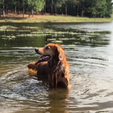 juanca21869's profile picture. Ingeniero profesional independiente.
 Después de más de 13 años en estos pagos...casi casi Tacuaremboense!