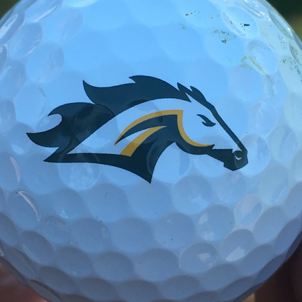 MTHS Golf Profile