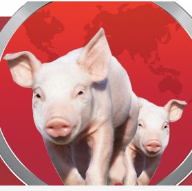 World Swine Industry Expo (SwineWorld), the biggist and most potential pig professional expo in China/Asia. Contact Candy for more Info: candy@capiac.org.cn