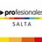 PROfesionales Salta