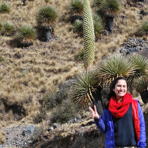 Peruvian biologist 🌵
Arid ecosystems lover🌾🌾🌵
Crazy about plants 👩‍💻🤓😍