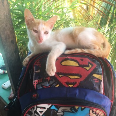 vielle143's profile picture. 