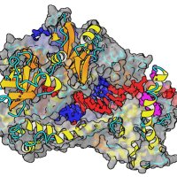Albada Lab (@nanochembiol) 's Twitter Profile Photo Albada Lab (@nanochembiol) 's Twitter Profile Photo