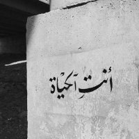 ✒✒️️ AHMAD ✒️✒️ (@_prince_silence) Twitter profile photo