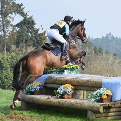 Advanced event rider taking horses for training and competing. Successful record competing and producing horses eventing, showing.