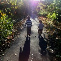 Jill Andrews (@linus_and_ollie) 's Twitter Profile