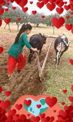 Babul43623810's profile picture. 0577182392