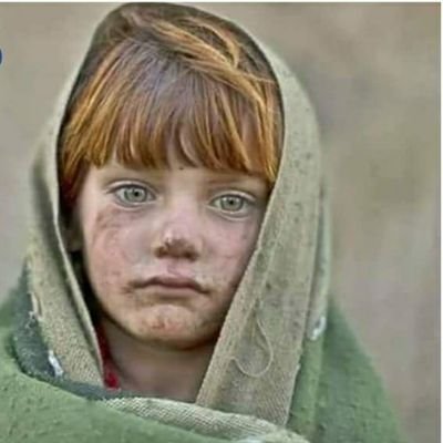 GNKohistani's profile picture. Graphic designer