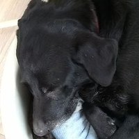 Jensspahnend (@jensspahnend) 's Twitter Profile